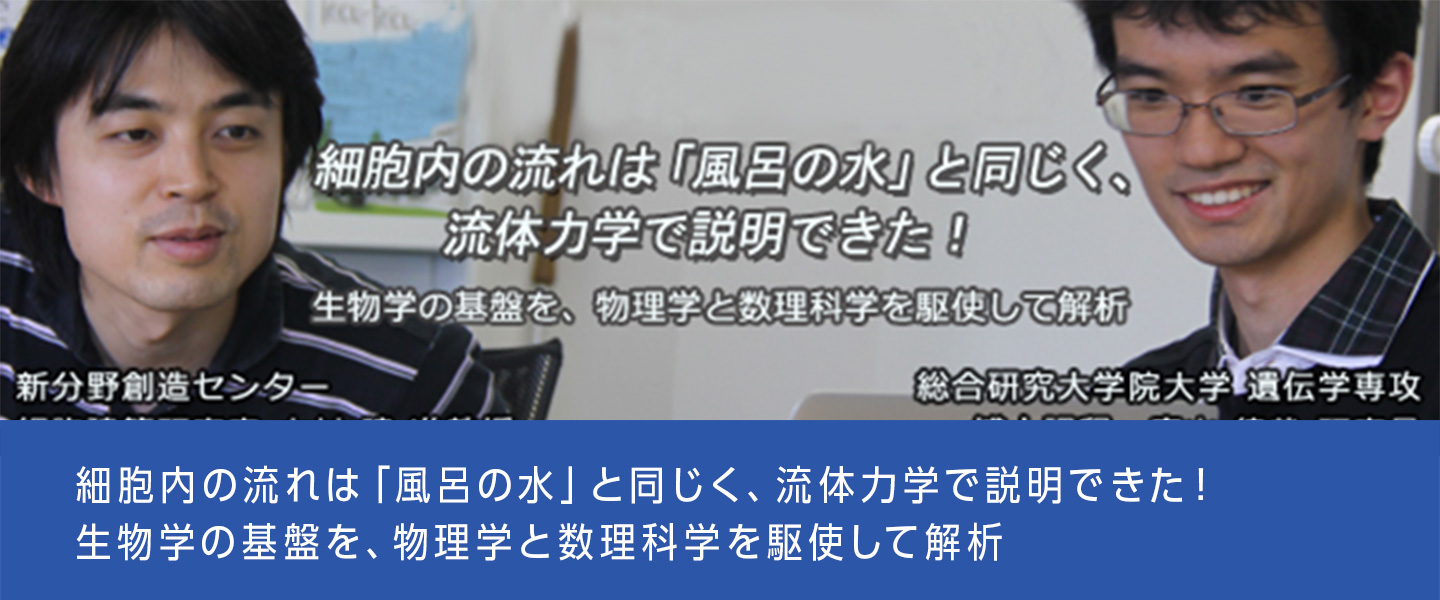 細胞内の流れは「風呂の水」と同じく、流体力学で説明できた！生物学の基盤を、物理学と数理科学を駆使して解析