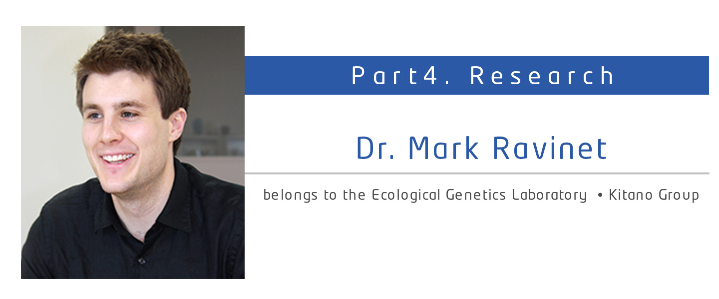 Dr. Mark Ravinet　Ecological Genetics Laboratory Kitano Group