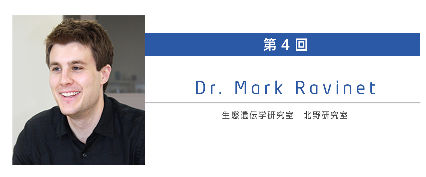 Mark Ravinet 研究員　生態遺伝学研究室 北野研究室