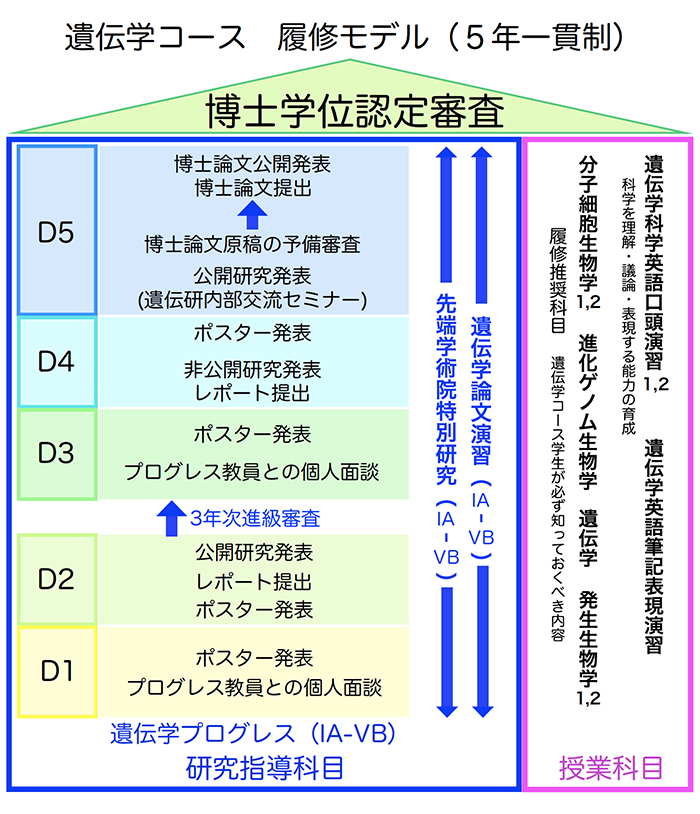 Curriculum map