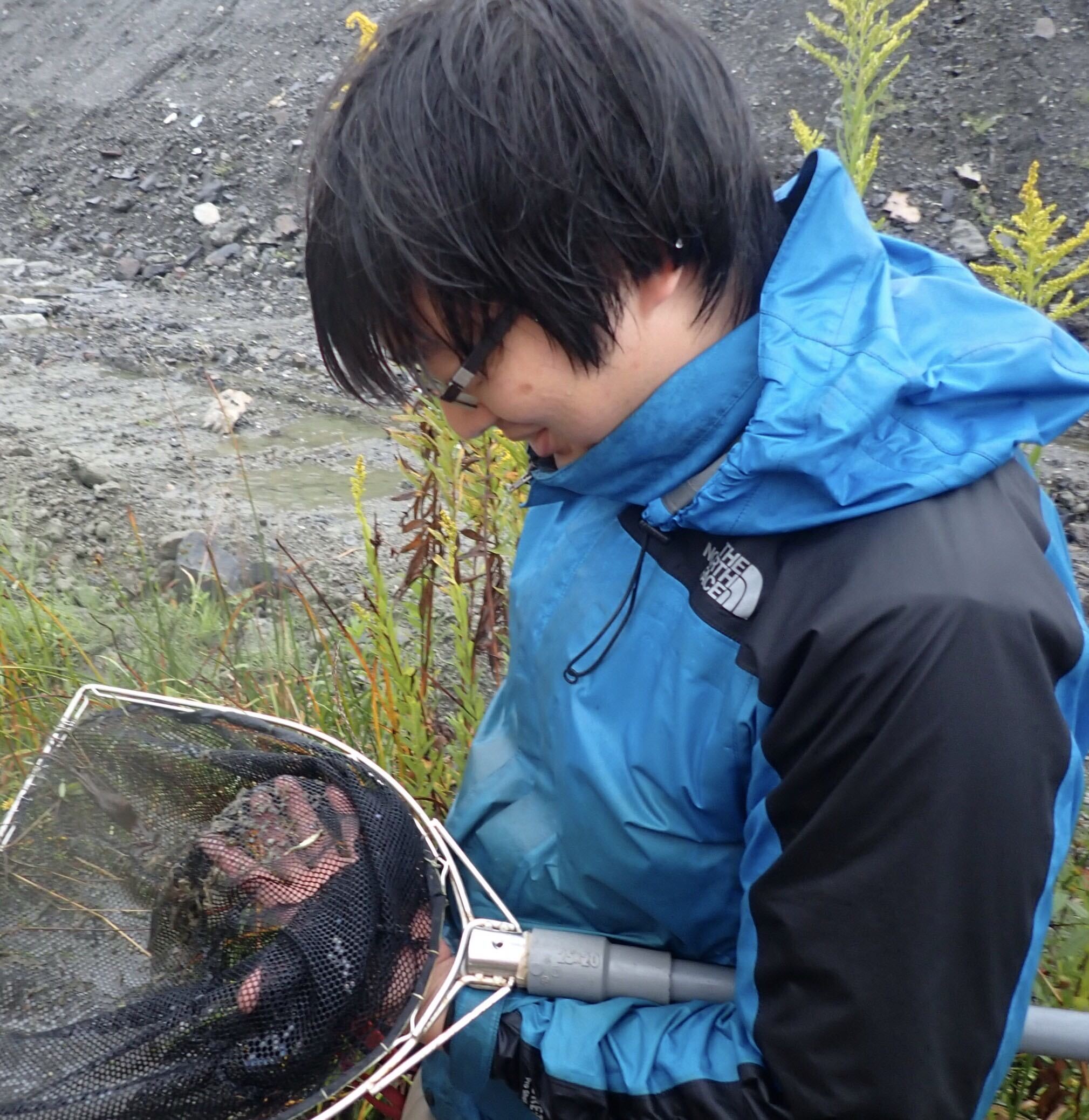 トゲウオを採集する山﨑曜助教