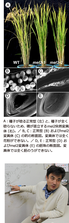 画像A,B,C,D,E