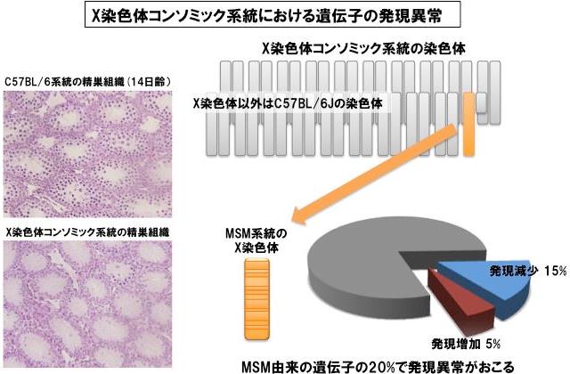 Figure1