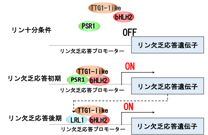 Figure1