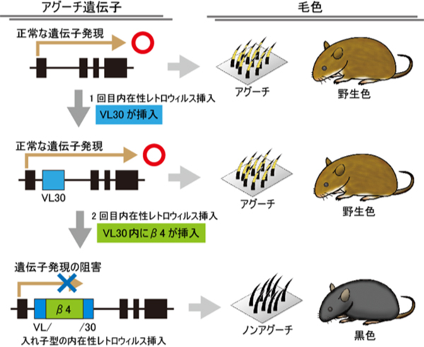 Figure1