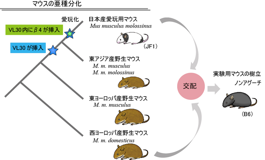 Figure1