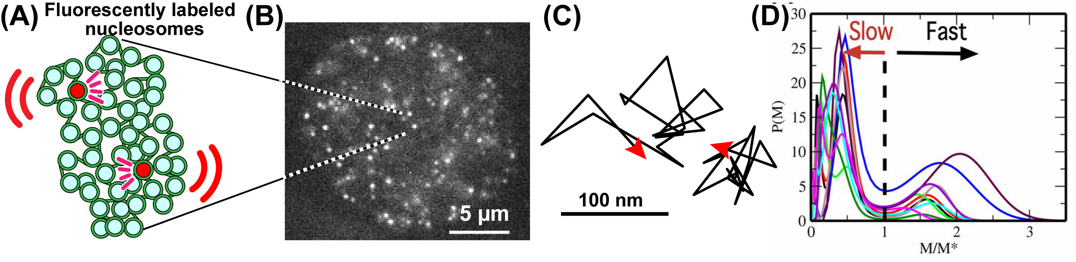 Figure1