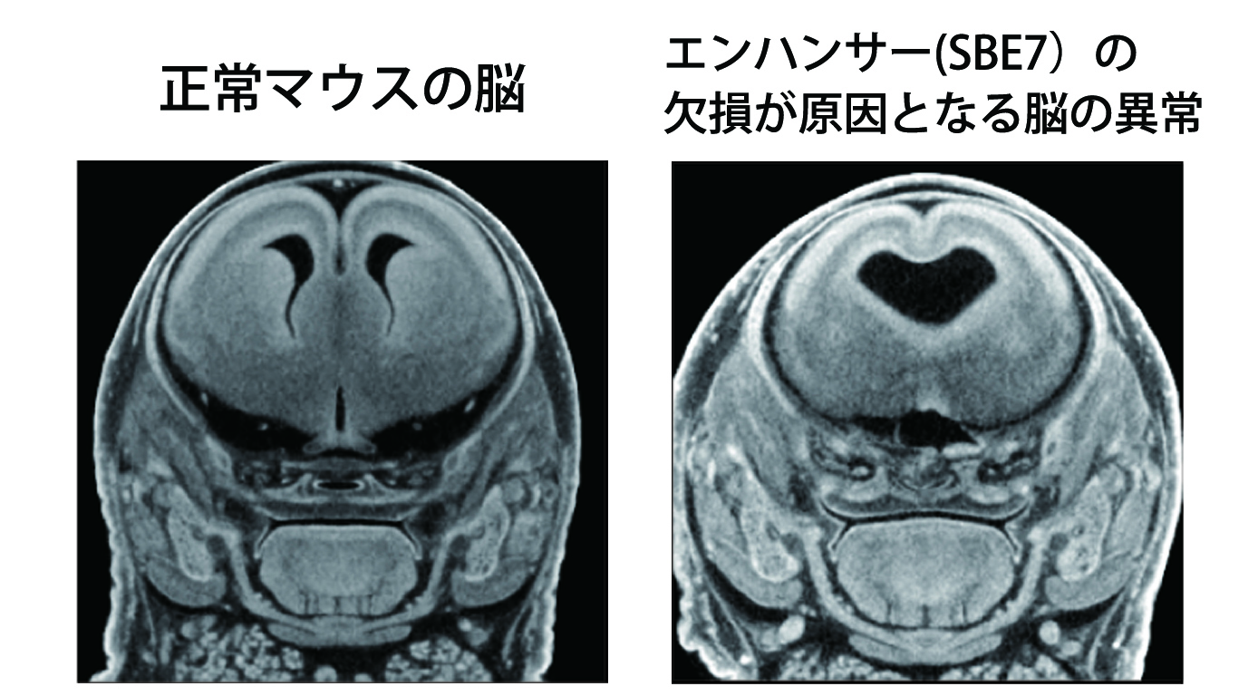 Figure1