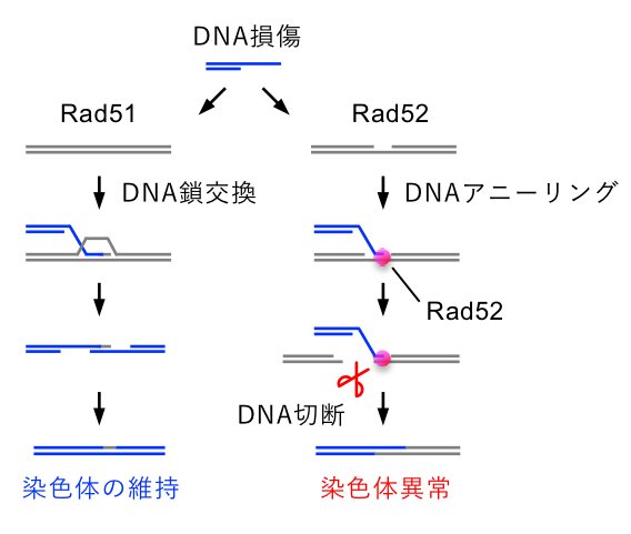 Figure1