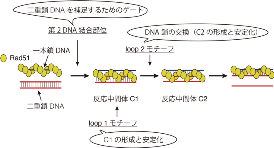 Figure1