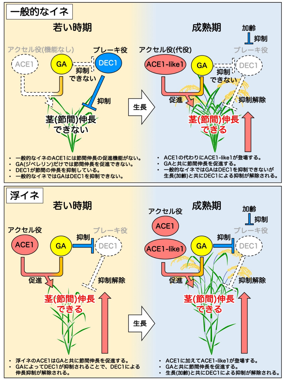 Figure1