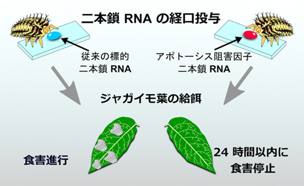 Figure1