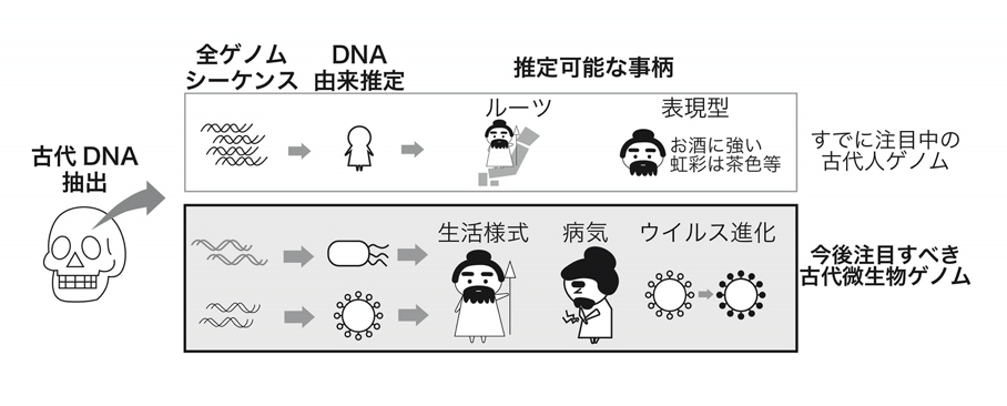 Figure1