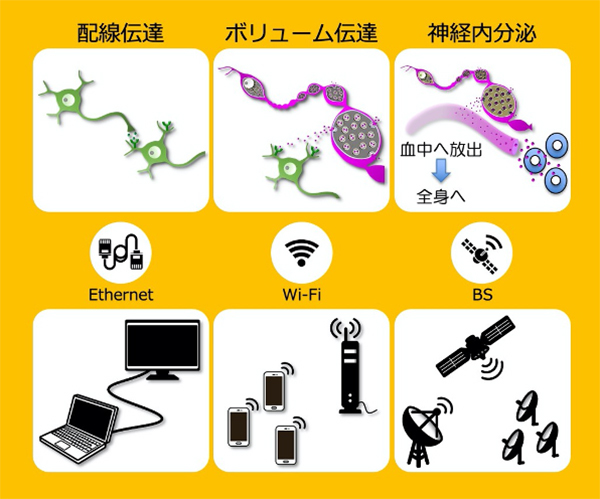 Figure1