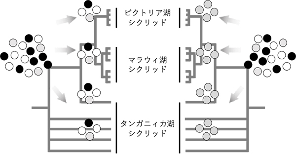 Figure1