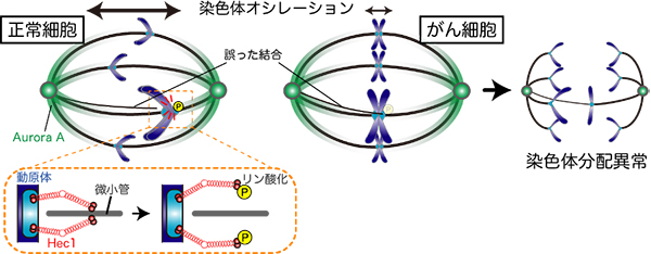 Figure1