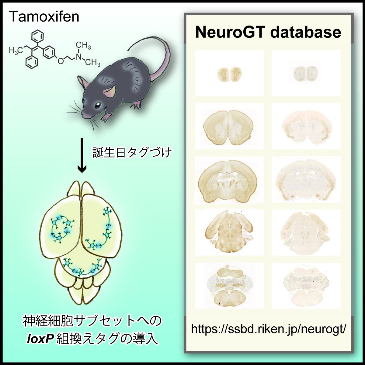 Figure1