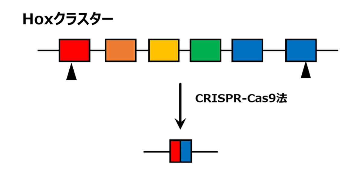 Figure1