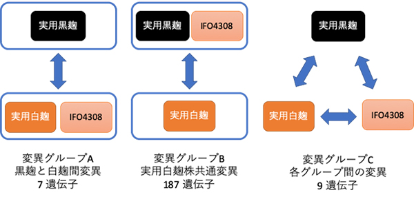 Figure1