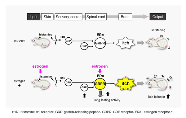 Figure1