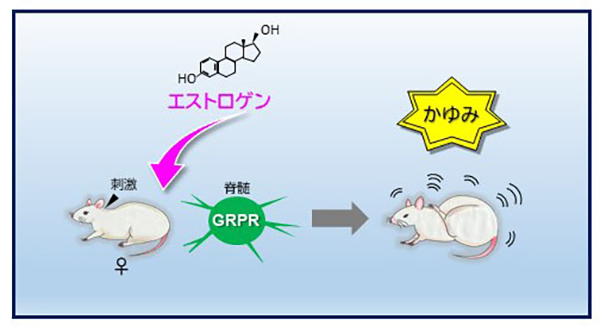 Figure1