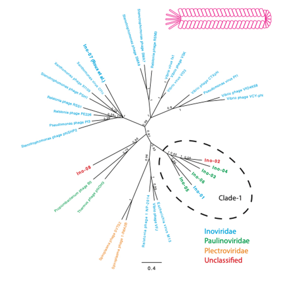 Figure1