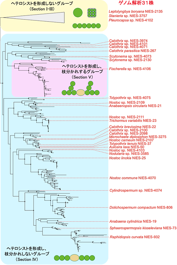 Figure1