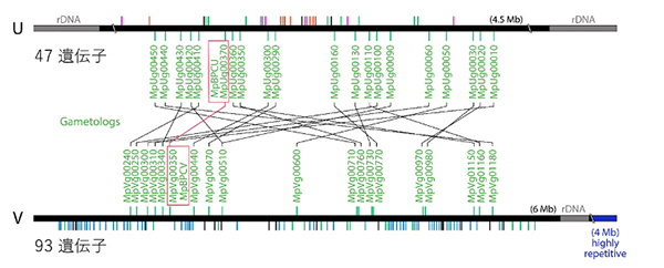 Figure1