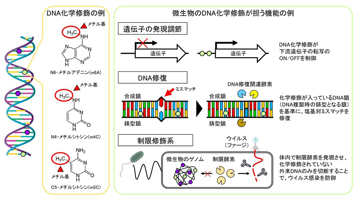 Figure1