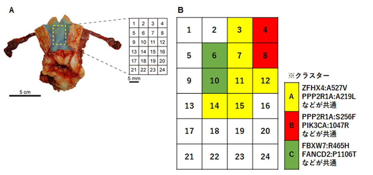 Figure1