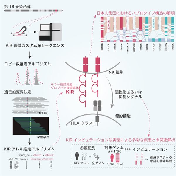 Figure1