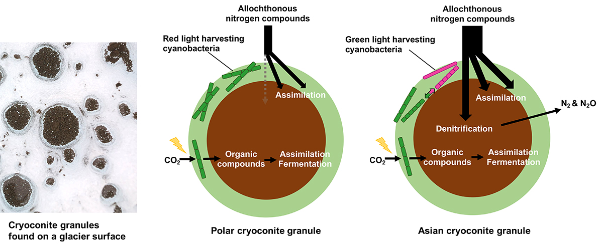 Figure1