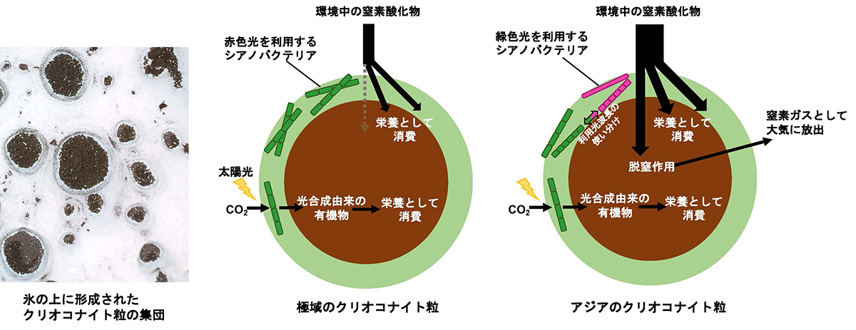 Figure1