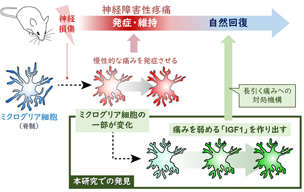 Figure1