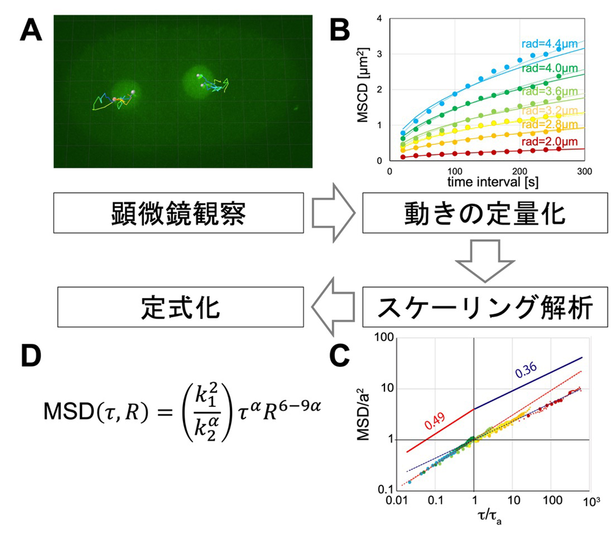 Figure1