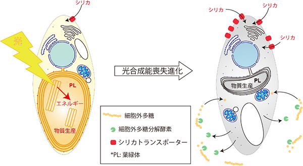 Figure1