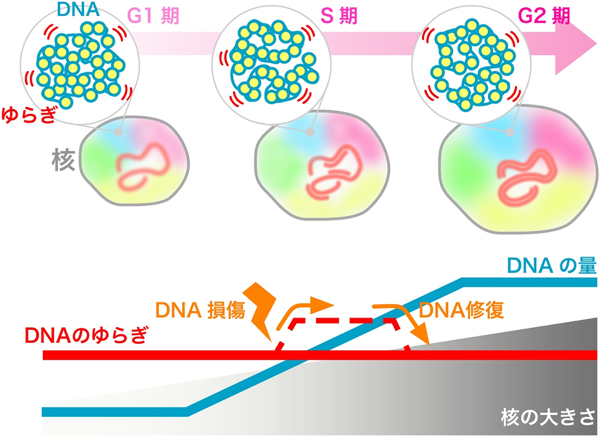 Figure1