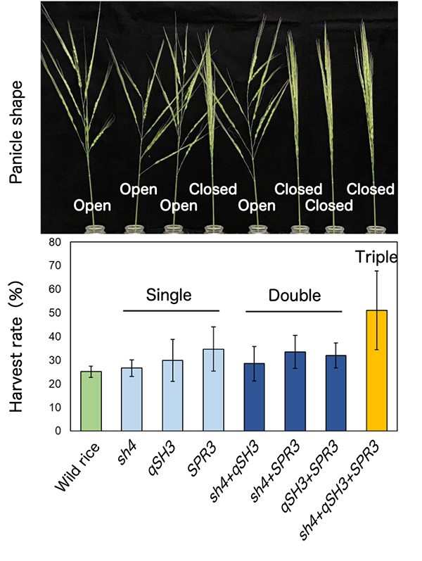 Figure1