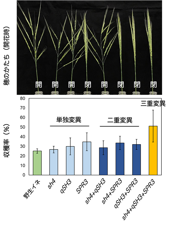 Figure1