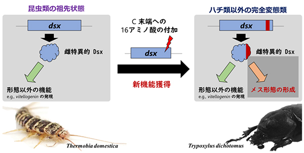 Figure1