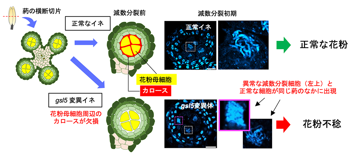 Figure1