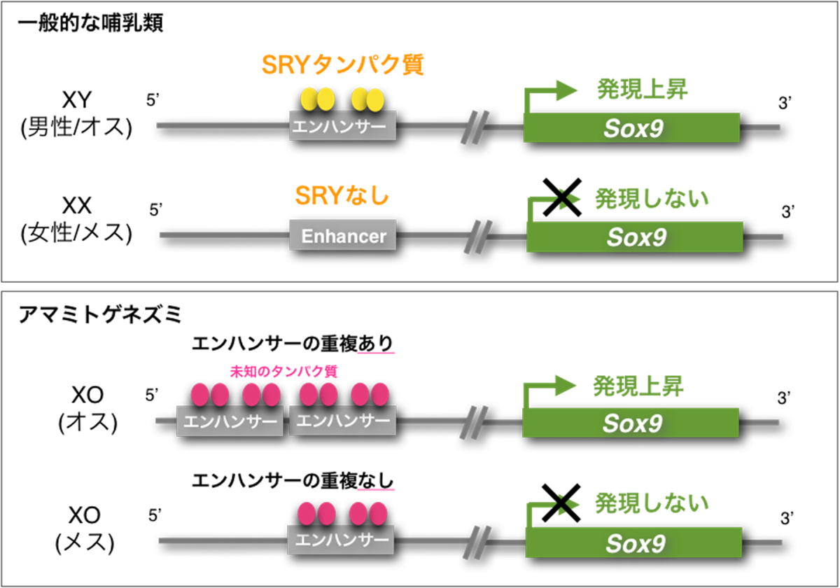 Figure1