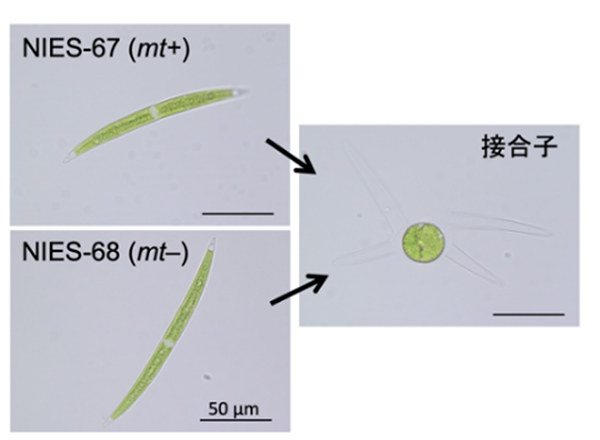 Figure1