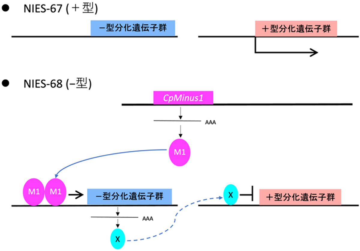 Figure1