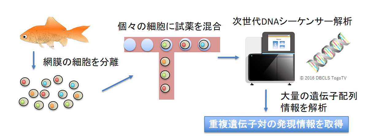 Figure1