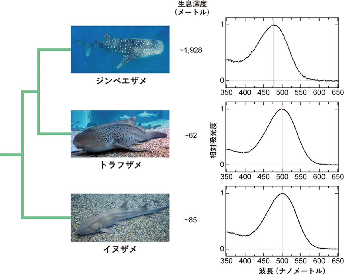 Figure1