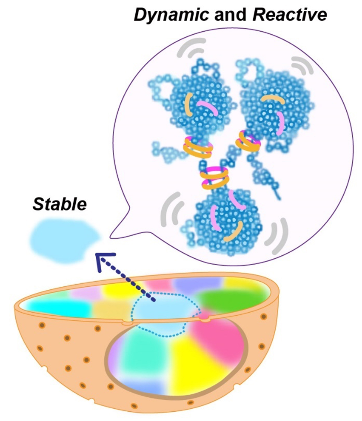 Figure1