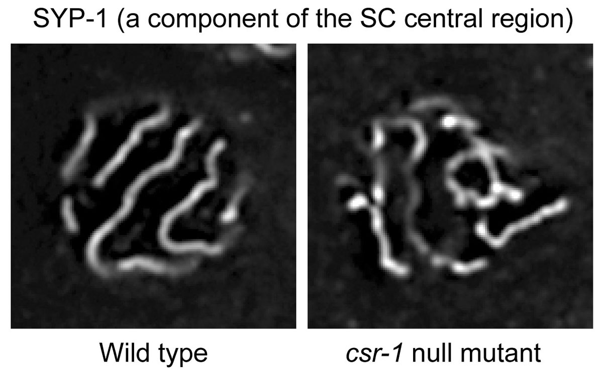 Figure1