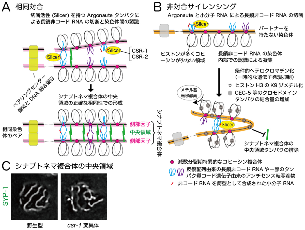 Figure1