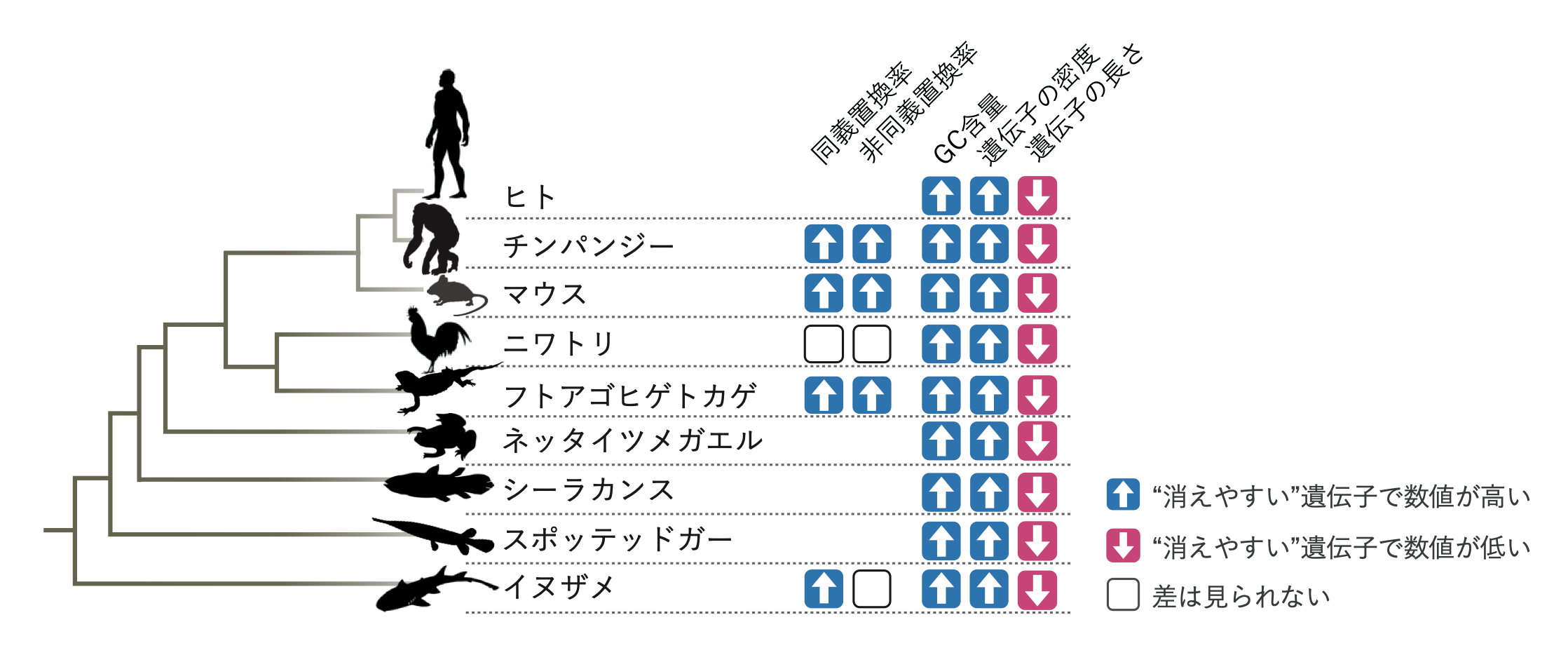 Figure1